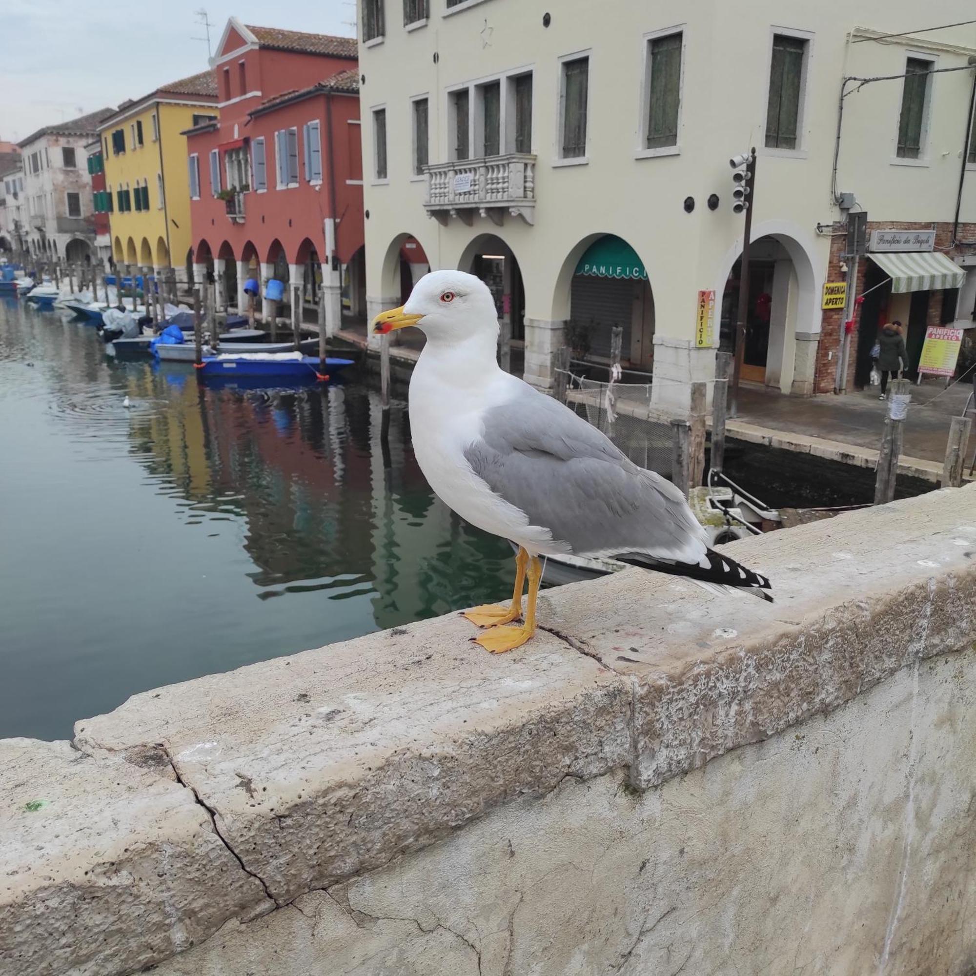 Ca' Dell'angelo 3* Chioggia
