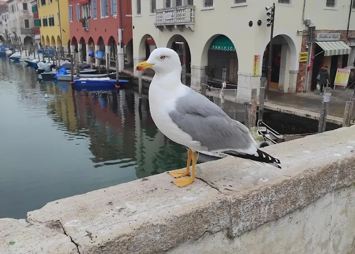 Ca\' Dell\'Angelo
